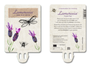 Lamorosia - New label